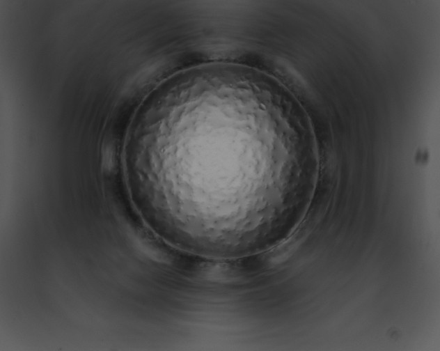 X0000091490074200708301944