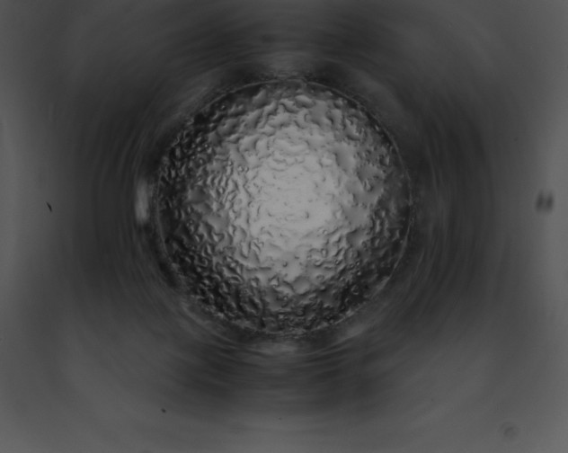 X0000091490075200708301945