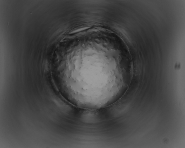 X0000091490077200708301945