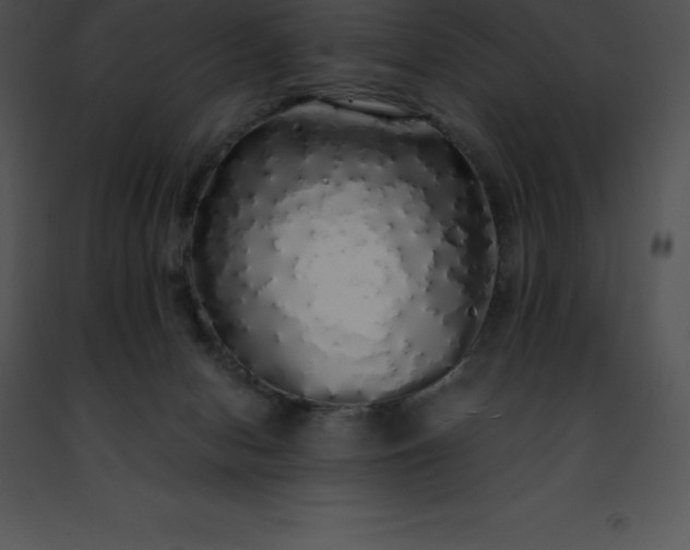 X0000091490078200708301945