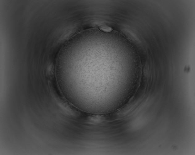 X0000091490079200708301945