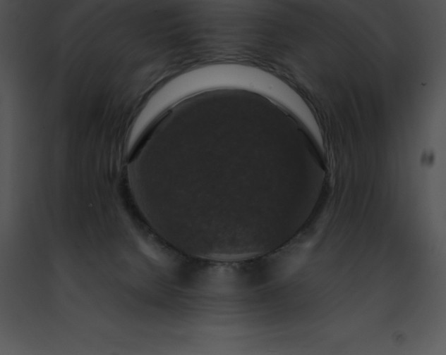 X0000091490080200708301945