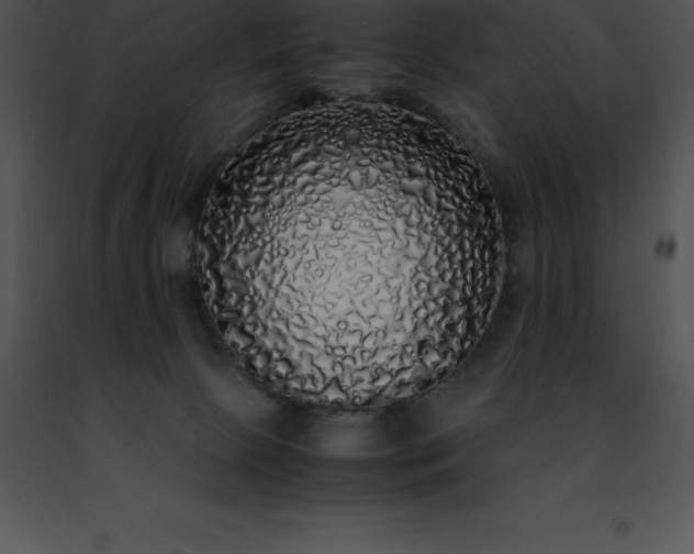 X0000091490081200708301945