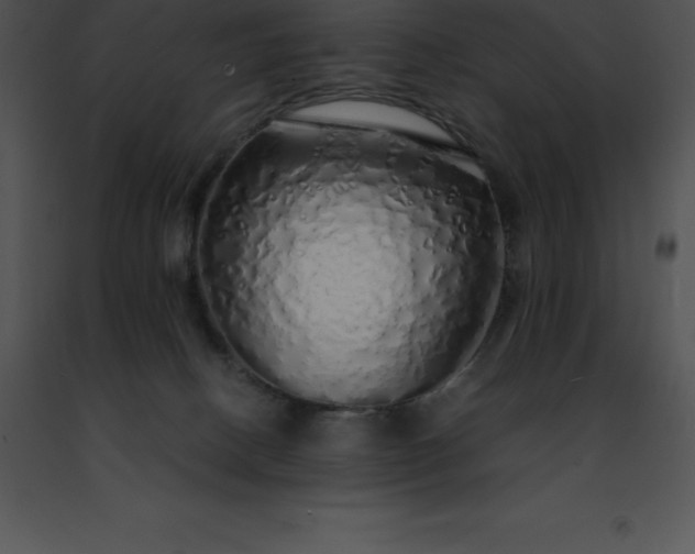 X0000091490082200708301945