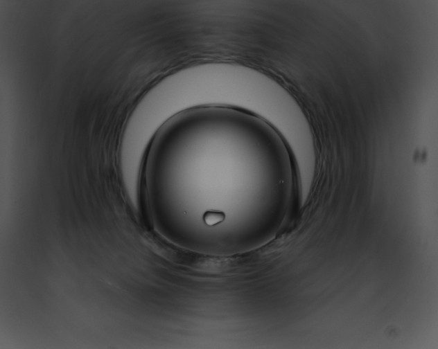 X0000091490084200708301945