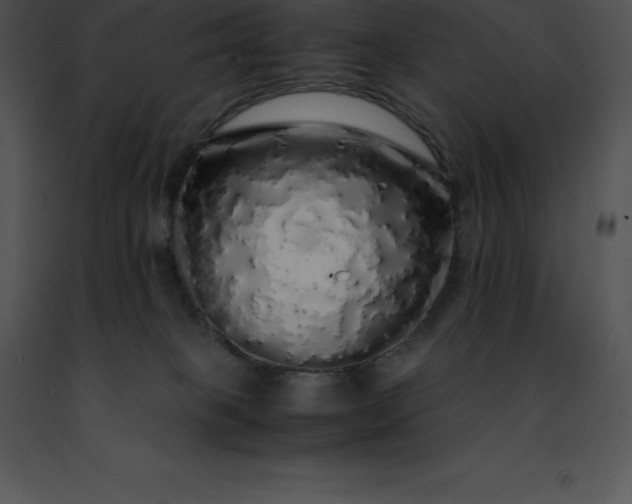 X0000091490085200708301945