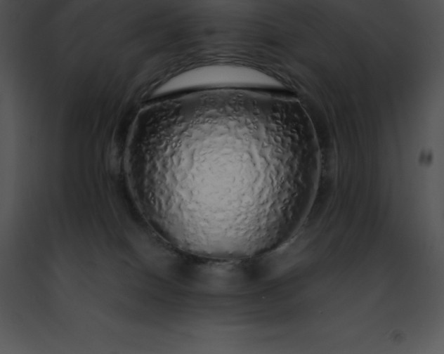 X0000091490086200708301945