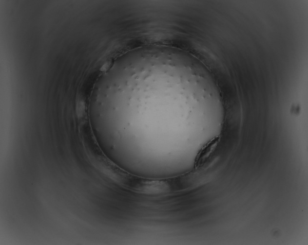 X0000091490087200708301945