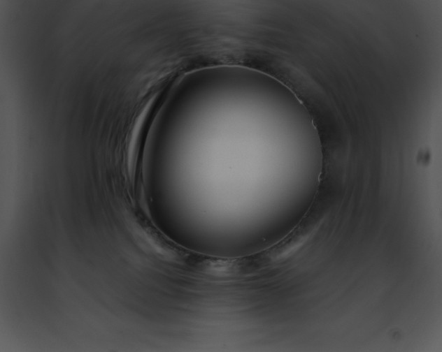 X0000091490088200708301945