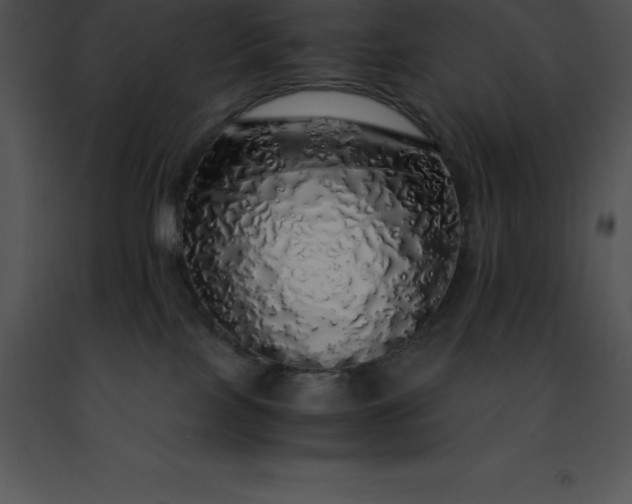 X0000091490089200708301945