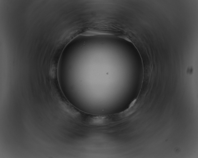 X0000091490090200708301945