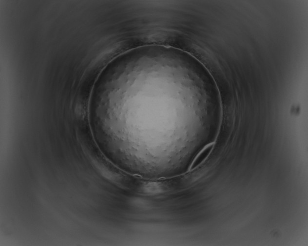 X0000091490091200708301945