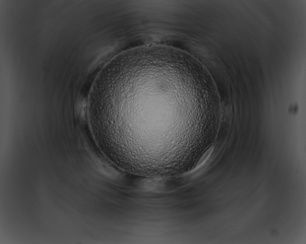 X0000091490094200708301945