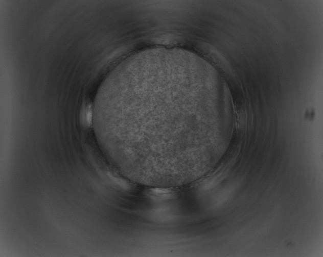 X0000091490095200708301945