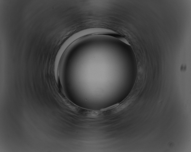 X0000091490096200708301945