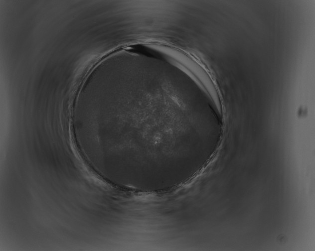 X0000091490097200708301944