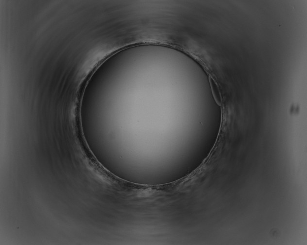 X0000091490098200708301944