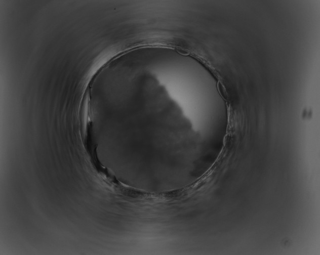 X0000091490099200708301944