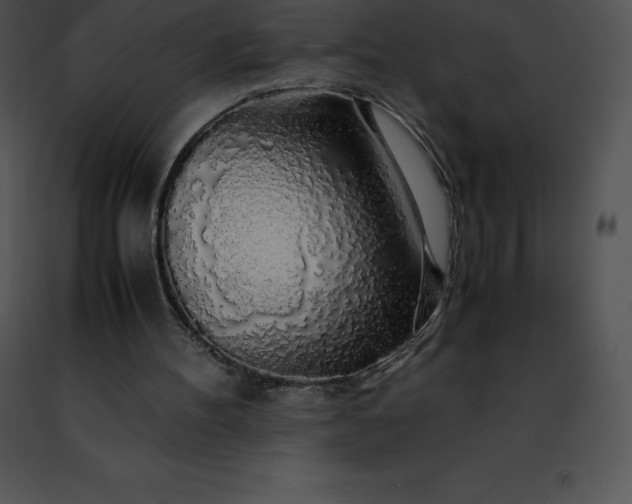 X0000091490100200708301944