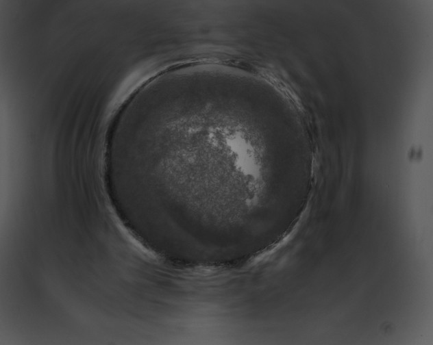 X0000091490101200708301944