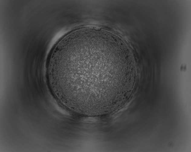 X0000091490102200708301944