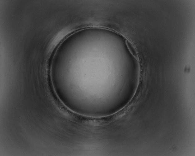 X0000091490103200708301944