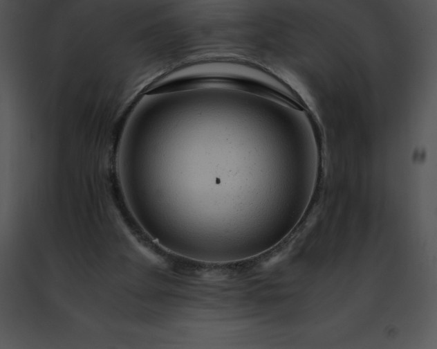 X0000091490105200708301944