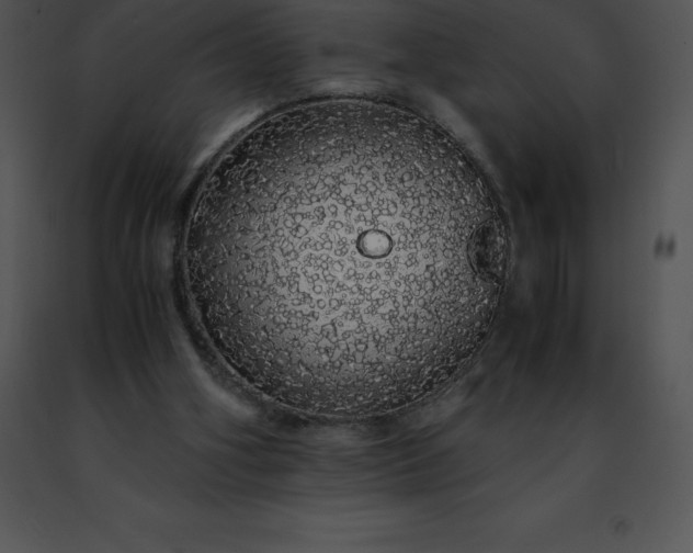 X0000091490106200708301944