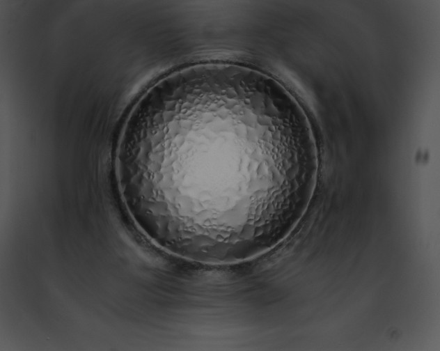 X0000091490107200708301944