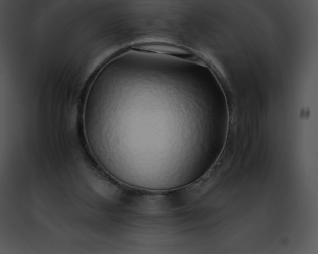 X0000091490108200708301944