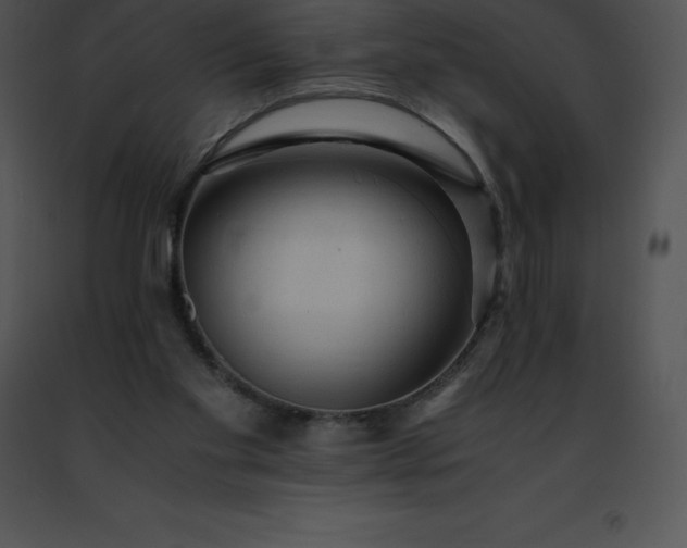 X0000091490109200708301944