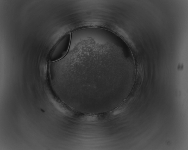 X0000091490110200708301944