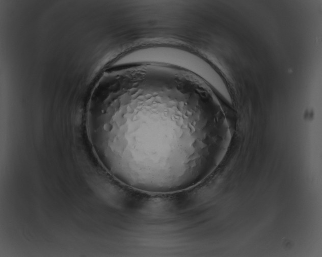 X0000091490111200708301944