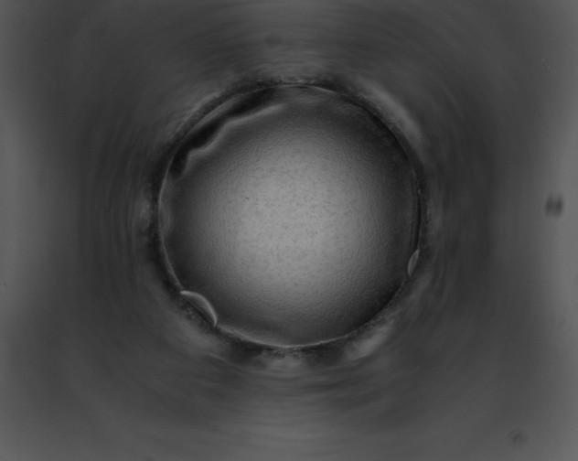 X0000091490113200708301944