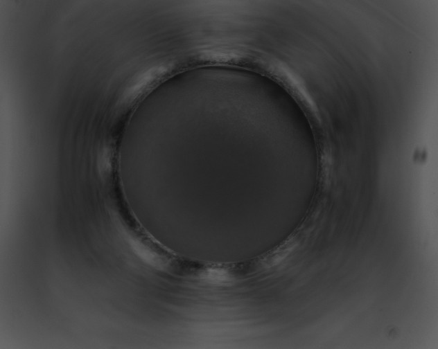 X0000091490114200708301944