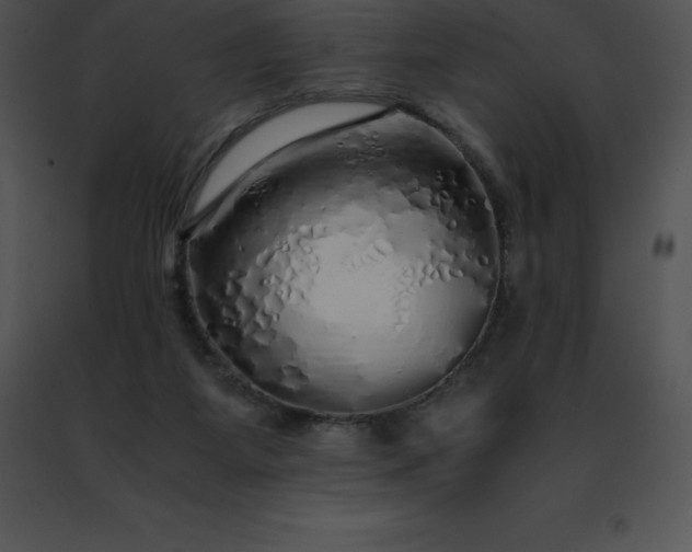 X0000091490115200708301944