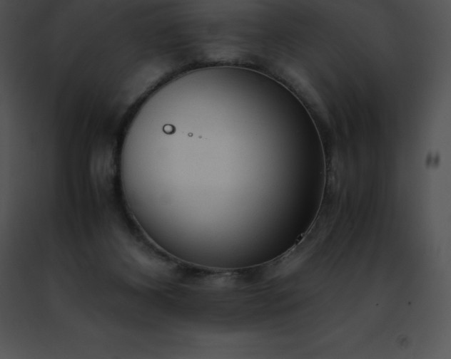 X0000091490116200708301944