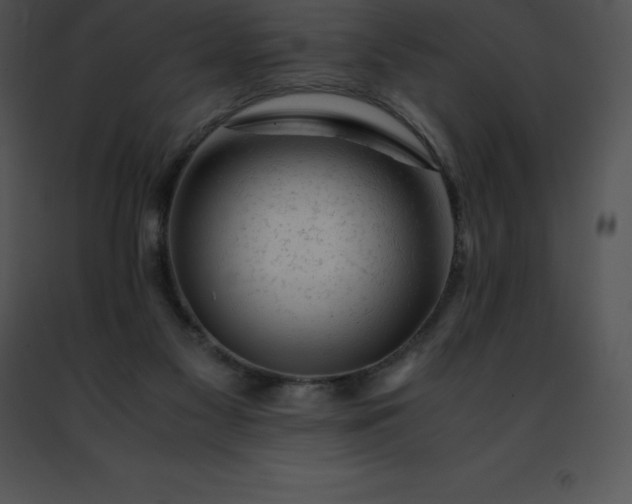 X0000091490117200708301944