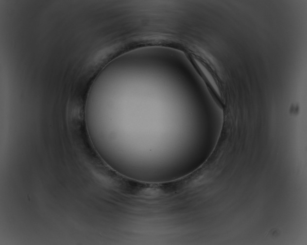 X0000091490119200708301944