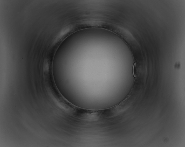 X0000091490120200708301944