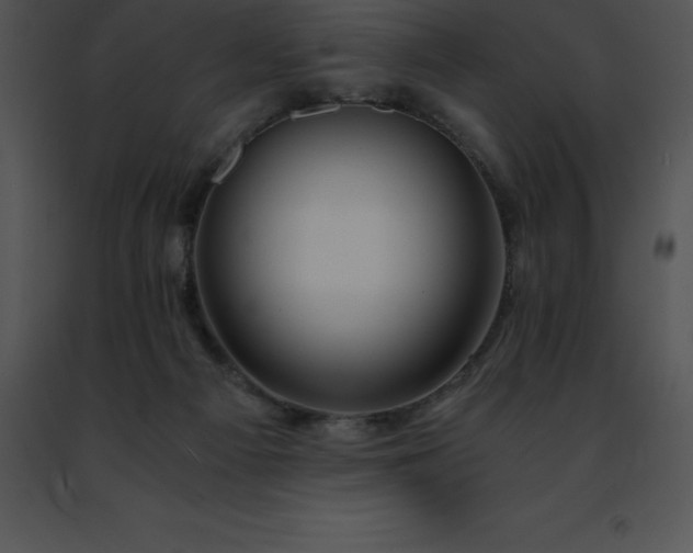 X0000091490121200708301944