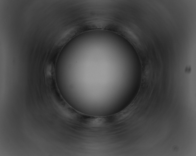 X0000091490122200708301944