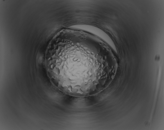 X0000091490123200708301944