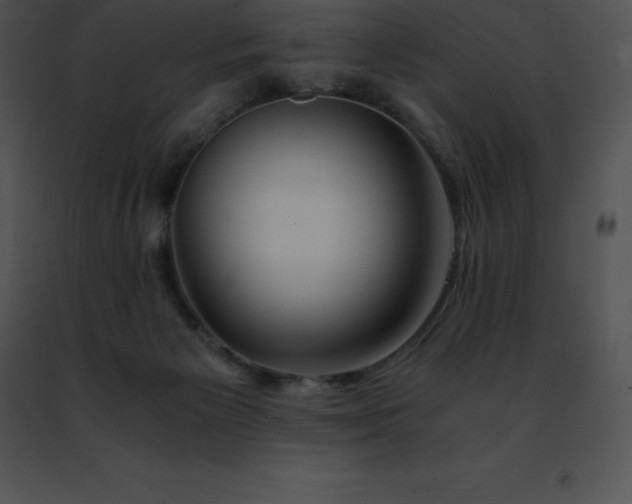 X0000091490125200708301944