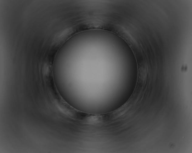 X0000091490126200708301944