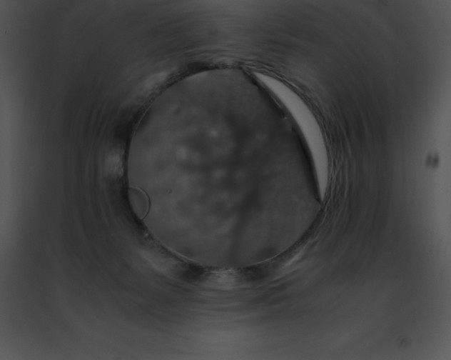 X0000091490127200708301944