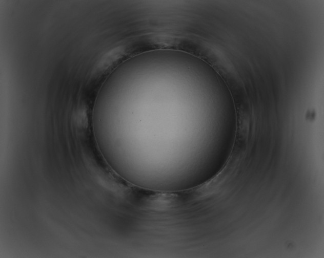 X0000091490128200708301944