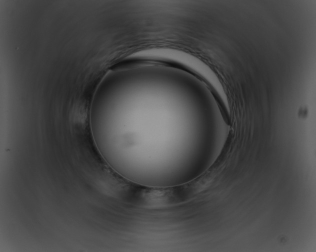 X0000091490129200708301944