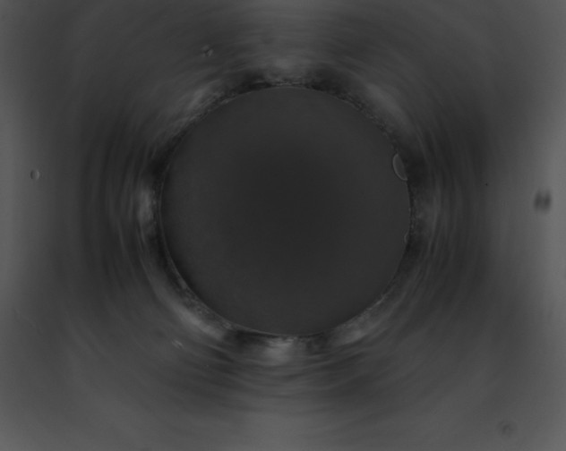 X0000091490130200708301944