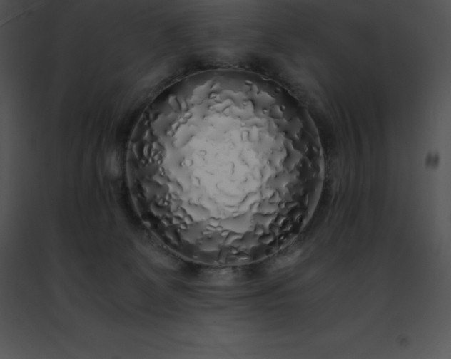 X0000091490131200708301944